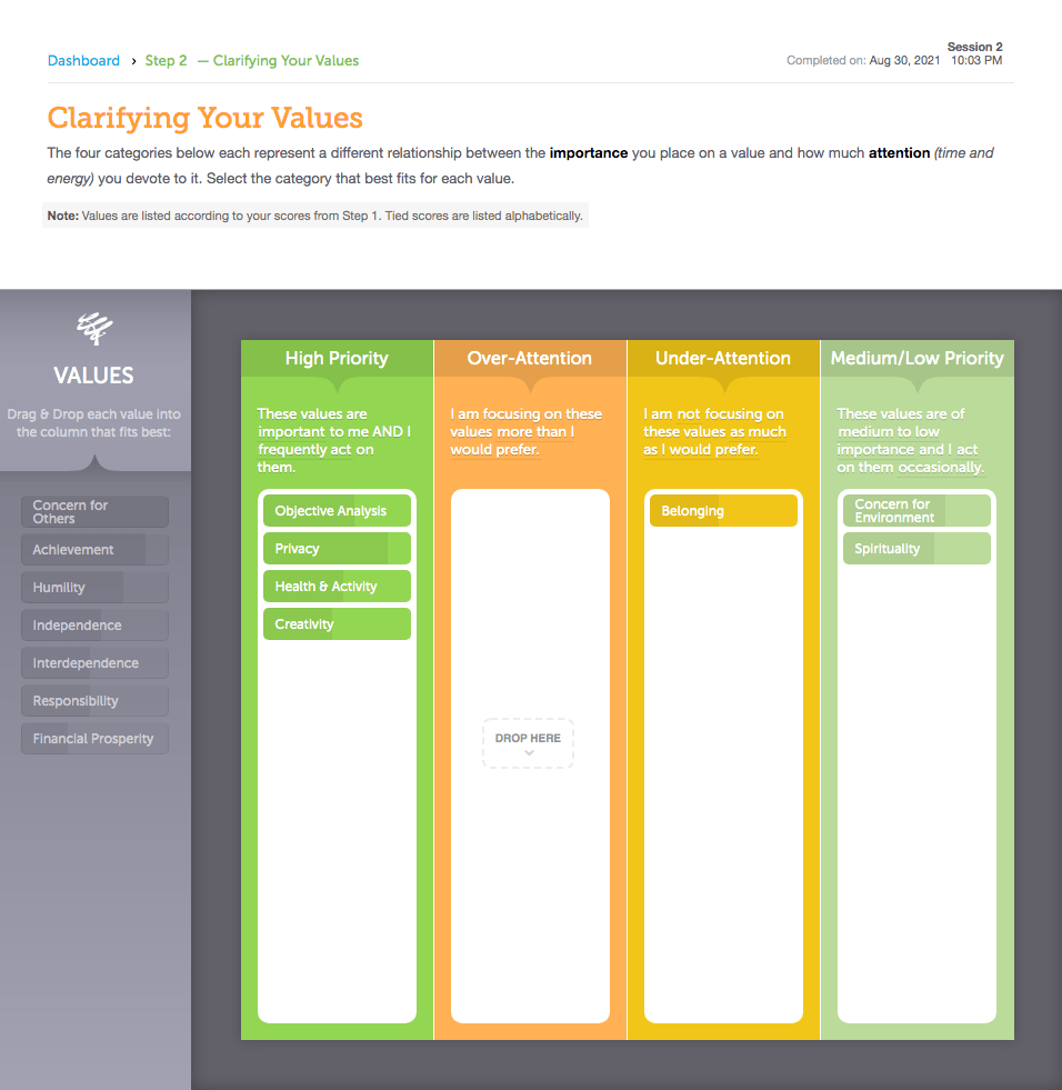 Screenshot of Step 2a: 'Clarifying Your Values' from an LVI session